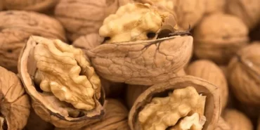 Cevizin faydaları nelerdir Günde ne kadar ceviz tüketilmeli