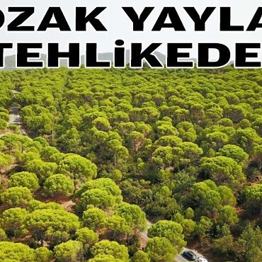 Kozak Yaylası tehlikede