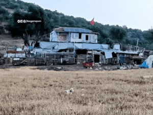 bergama-ciftlik-cinayet