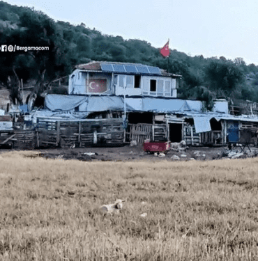 bergama-ciftlik-cinayet