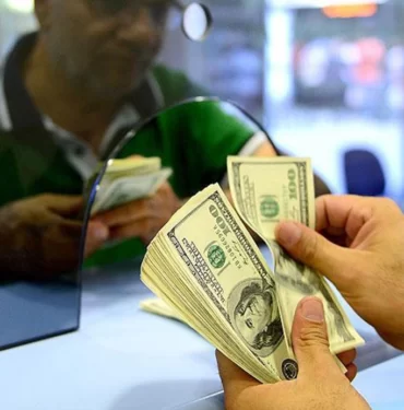 doviz-mevduatlari-25-milyar-dolar-artti-q7rq