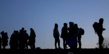 turkiyeye-2022-yilinda-494-bin-52-kisi-goc-etti-PXIy