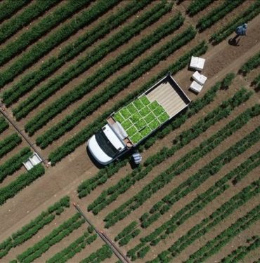 163 milyon liralık tarımsal destekleme ödemesi yapılacak 8 0LtNEtBTtkGCfs5hLQmnaA.jpg