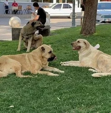 QW8ZqHnJCE2_5z030qsH-g