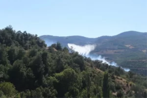 manisa-da-orman-yangini-2-16321883_amp