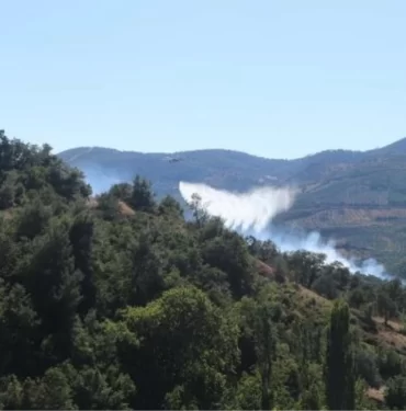 manisa-da-orman-yangini-2-16321883_amp