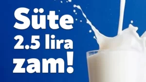 Sute-2.5-lira-zam