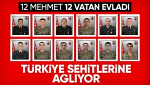 6587cbbd7770f719