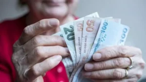 Emekliler Yılı kapsamında emekliye özel projeler geliyor