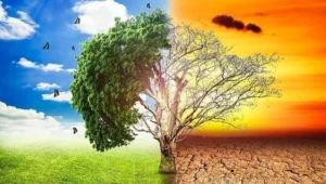 Rl05s_X3CU61GuzBqua5QA