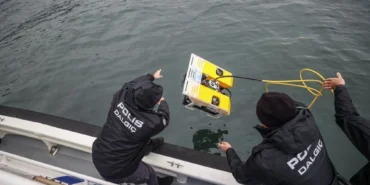 xogiyud9GE-6Dii__SJTpg