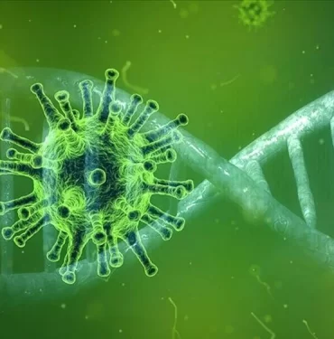 HF2imz4USUavGmRXTsmmCg