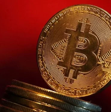 ZCIV8pIBOEWDajSshLQ9Pw