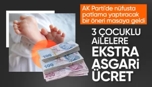 668e3572a0920336