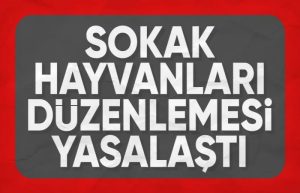 Başıboş sokak köpeği düzenlemesi TBMMden geçti