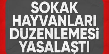 Başıboş sokak köpeği düzenlemesi TBMMden geçti