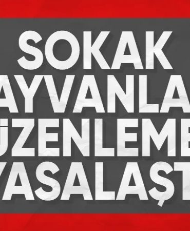 Başıboş sokak köpeği düzenlemesi TBMMden geçti