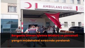 Bergama Orman İşletme Müdürü ve personeli yangın müdahalesi sırasında yaralandı