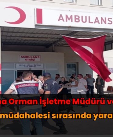 Bergama Orman İşletme Müdürü ve personeli yangın müdahalesi sırasında yaralandı