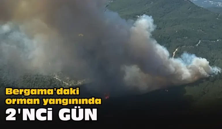 Bergama orman yangını