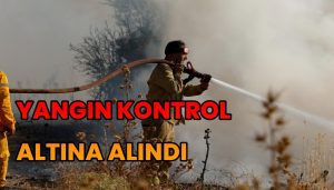 Bergamada ki Orman Yangını Kontrol Altına Alındı