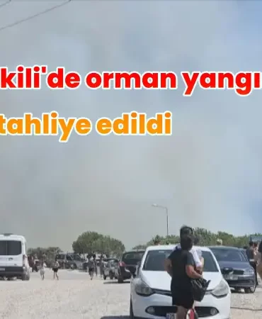 Dikilide orman yangını Bir site tahliye edildi