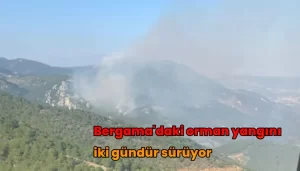 bergama-orman-yangini-2