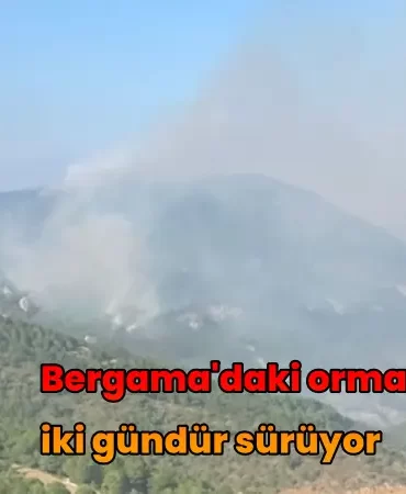 bergama-orman-yangini-2