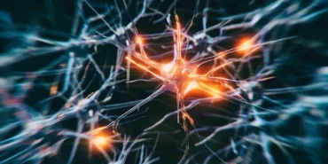 qQcDEHZVUkGUv3rJcFpg-Q