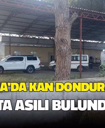 izmir-bergama-yenigun-gazete-1746635254