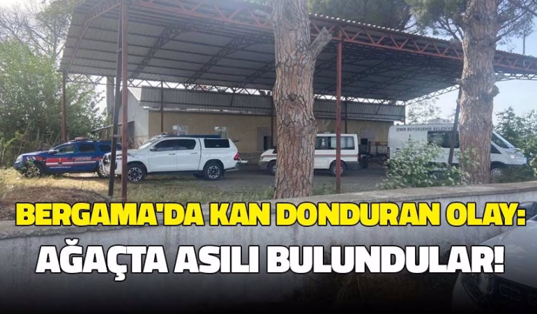 izmir-bergama-yenigun-gazete-1746635254