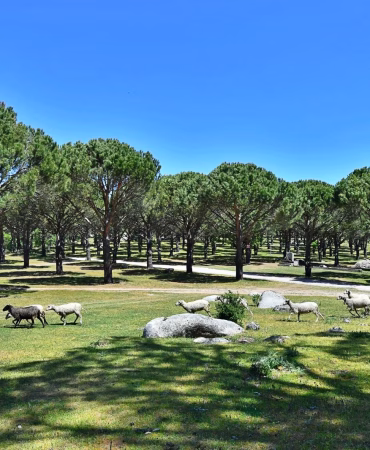 WhatsApp Görsel 2025-09-25 saat 11.49.17_86f3b967