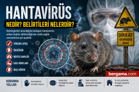Hantavirüs Nedir Belirtileri Nelerdir Uzmanlardan Kritik Uyarılar
