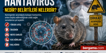 Hantavirüs Nedir Belirtileri Nelerdir Uzmanlardan Kritik Uyarılar