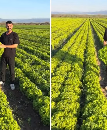 ciftcinin-boyle-isyan-etti-satarsam-serefsizim